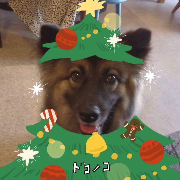 Ddc67fd7 b971 47d6 adea 0f59464edee5 1761724963785