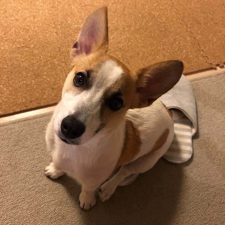 Ddc68958 2dad 4500 82b5 94b2cecf9749 1560696828139