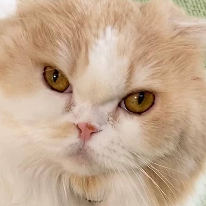 Ddc6e74f 487f 4ee9 b3a6 c67e438772b5 1616808600792