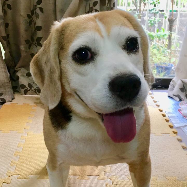 Ddc71e73 790f 4ee7 9c2f cf6139743e43 1535242855261