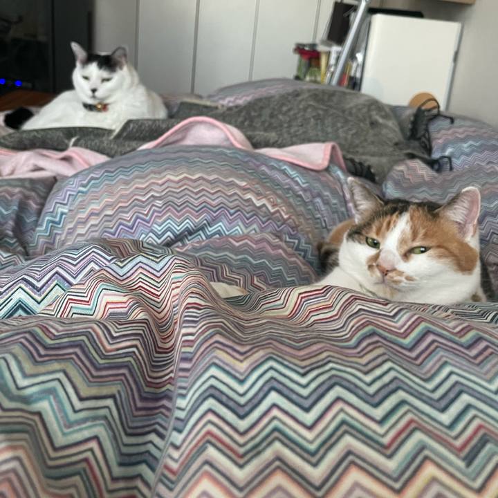 Ddc732f9 d5eb 4b17 aba0 562f165015db 1705016899973