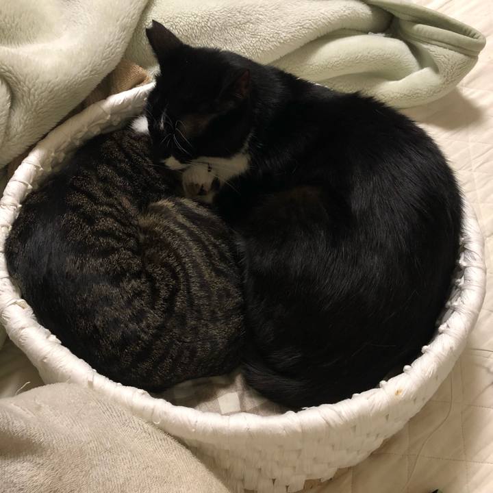 Ddc74133 e7e2 4af4 bb49 75374689a53d 1560544054742