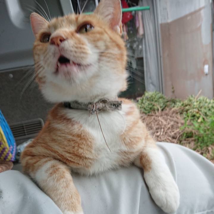 Ddc75b0a ef35 4f59 b9c9 2ad54cde04fc 1595410062181