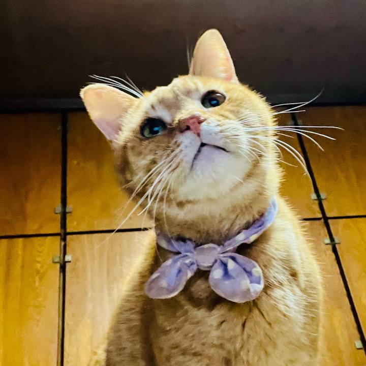 Ddc7cbf2 9931 4174 93e3 f9985ca6de4b 1769717154904