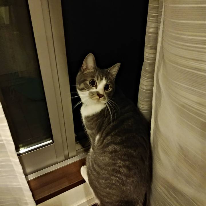 Ddc7f20f e5bc 476b 8a76 1f541bd2948e 1580135375864