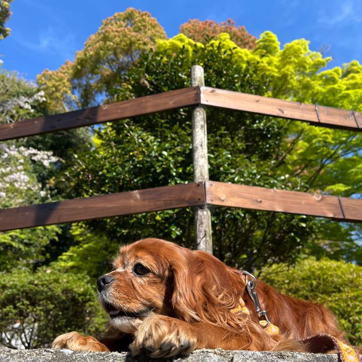 Ddc84038 fb75 420f 8725 8596c6e9e82e 1712972731115