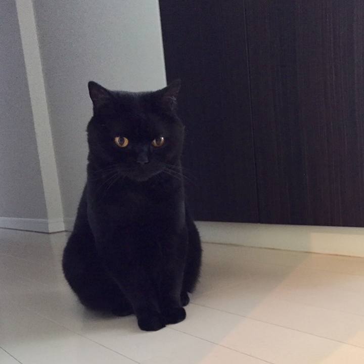 Ddc84112 1698 42d8 89fb a1c453b8177e 1559344624805