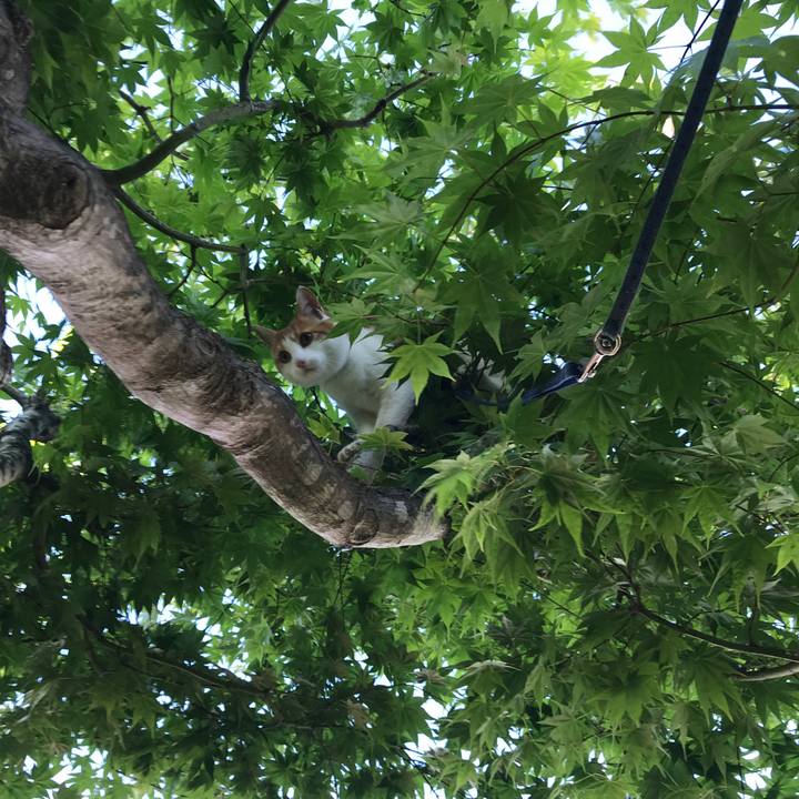 Ddc841f3 a864 4de0 9bb4 60885273ce76 1527149693763