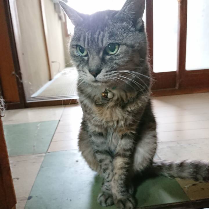 Ddc87014 13e2 4396 a02c f7cb28b59820 1569804945287