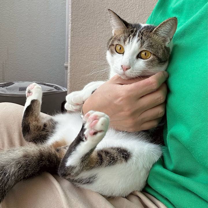 Ddc8834a 88dd 4ab4 9f25 df03a54141fc 1791328036899