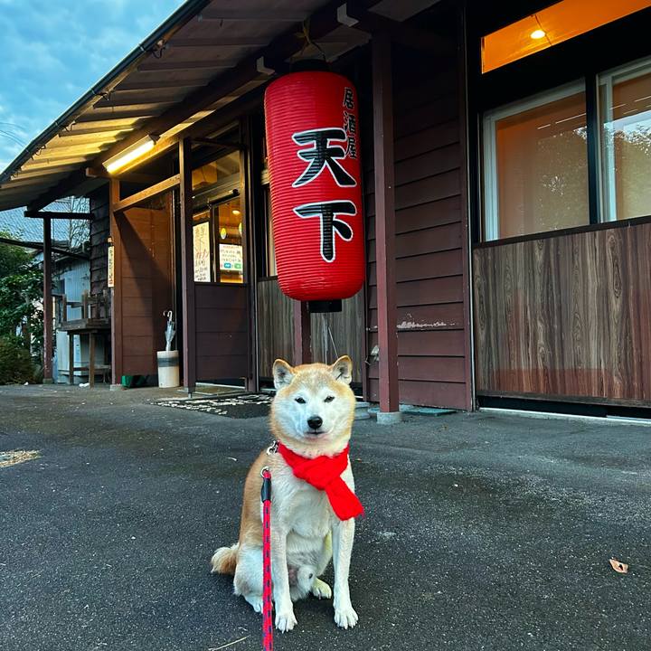 Ddc89a14 a6d1 4207 9b83 44b0ef3a1b48 1766488150658