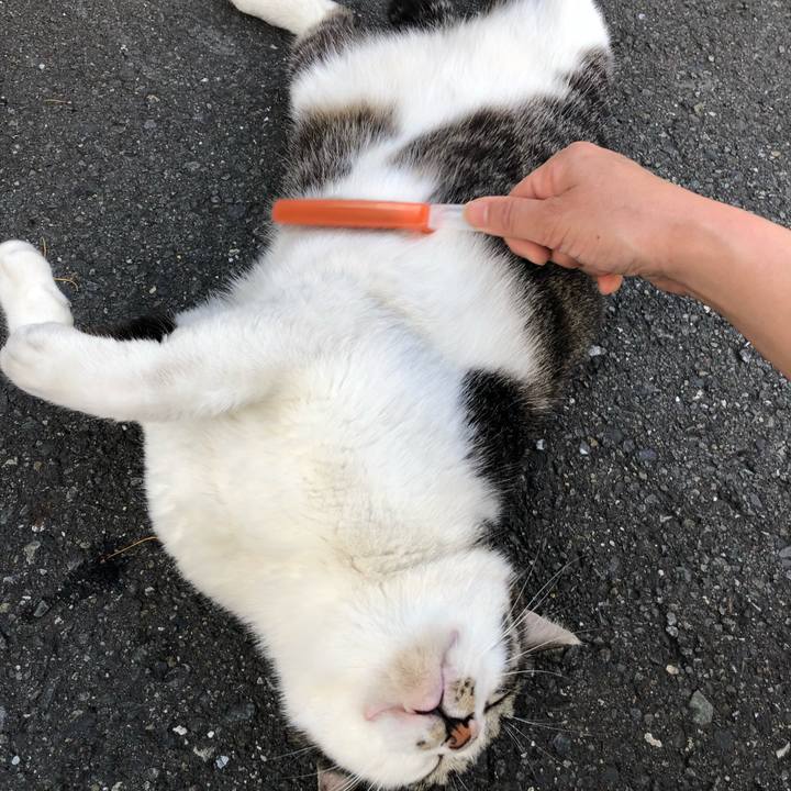 Ddc8b0d8 f462 4089 a922 ec77945d7167 1527246542518