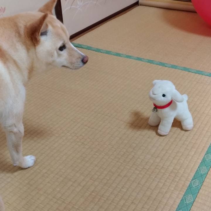 Ddc8bc7e 5d53 42d0 8c03 9d53c0074f92 1530357636460