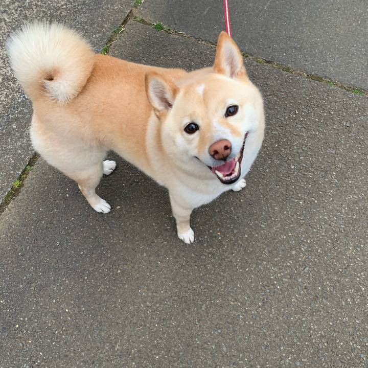 Ddc8e8f5 b897 409c 92ce 828c262bd90a 1616885430764