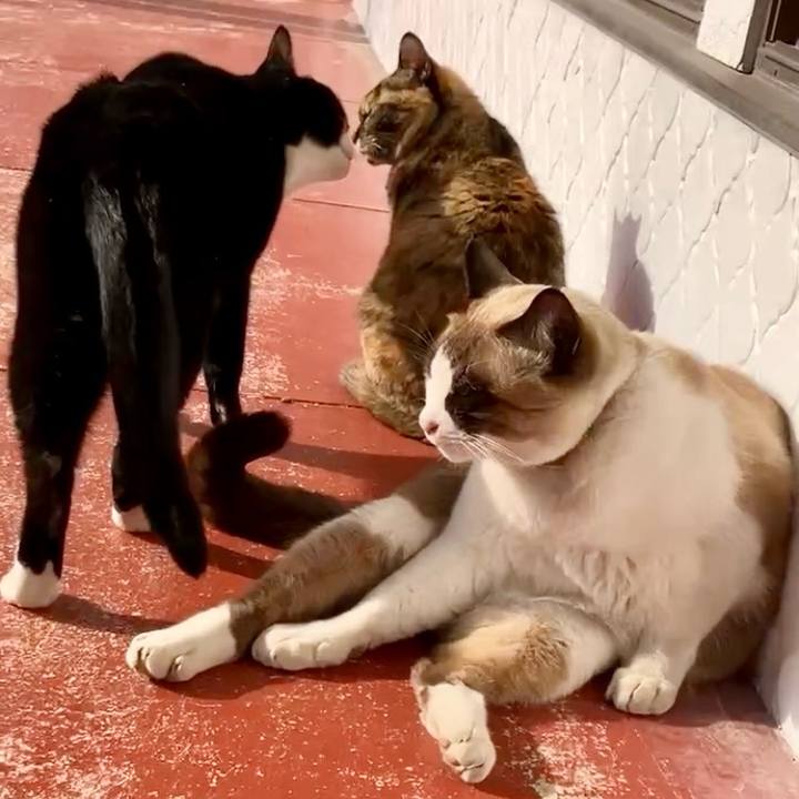 Ddc9d8c7 db81 4be6 bdd5 97e1960e4ba4 1737685272160