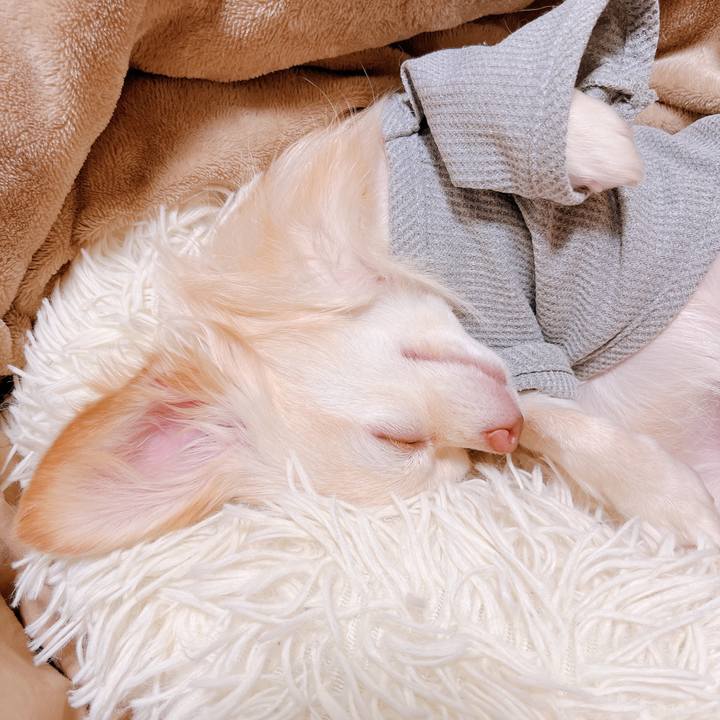 Ddc9e21d afc6 4c2a 8bfc 7cc31c63f12b 1669105317527