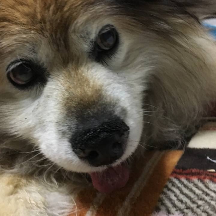 Ddca2951 dd55 4e6e 965d 318bb1262142 1593344966044