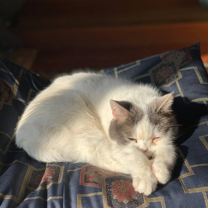 Ddca30d4 9b39 47ac 8b94 9fba6d38c47a 1641775075046