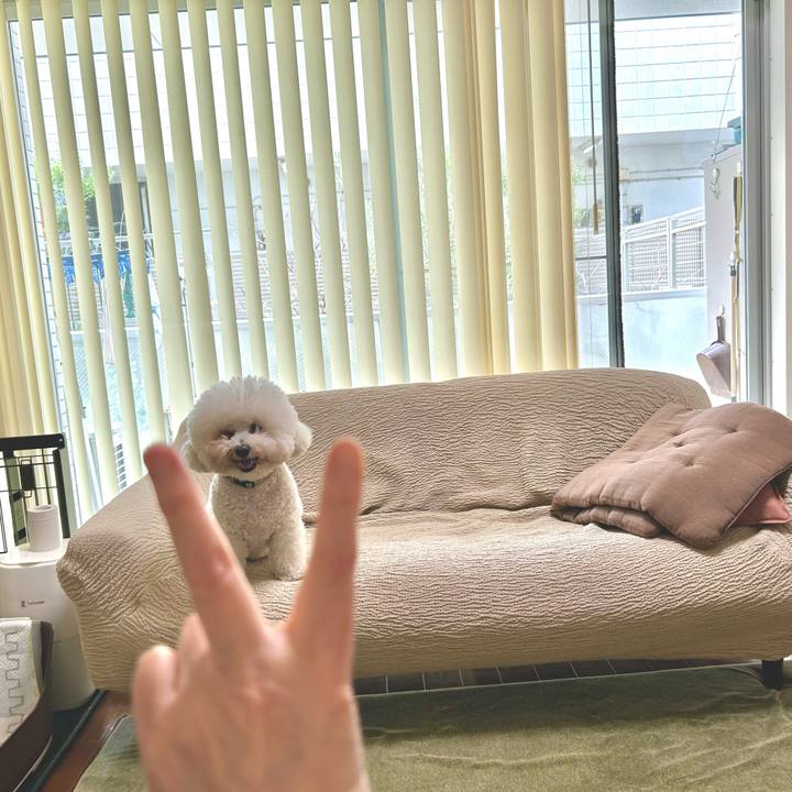 Ddca5967 c5e6 41f9 8927 1cef06307e51 1772081388935