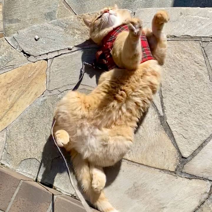 Ddcae606 bc8f 4455 b556 d36afbc24172 1772325950817