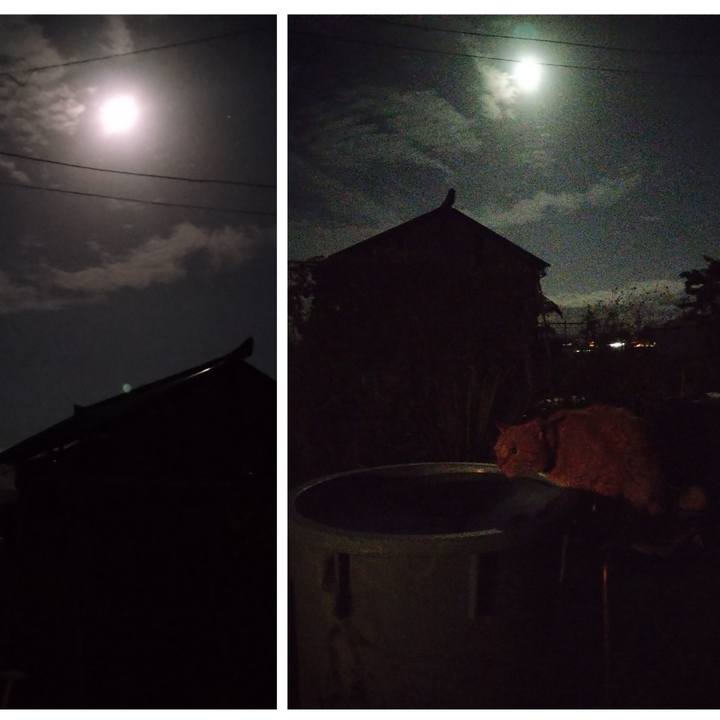 Ddcaf155 fa3f 42d7 acff 6bb035e90fc3 1759746238270