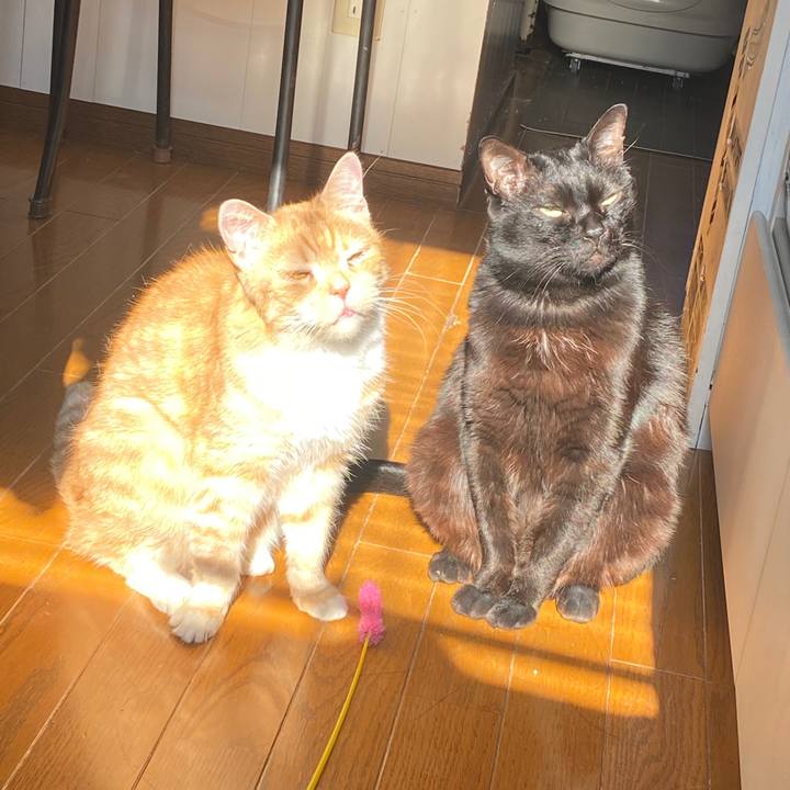 Ddcaf1ec 5355 437d 83f2 559041cb2e42 1578623930952