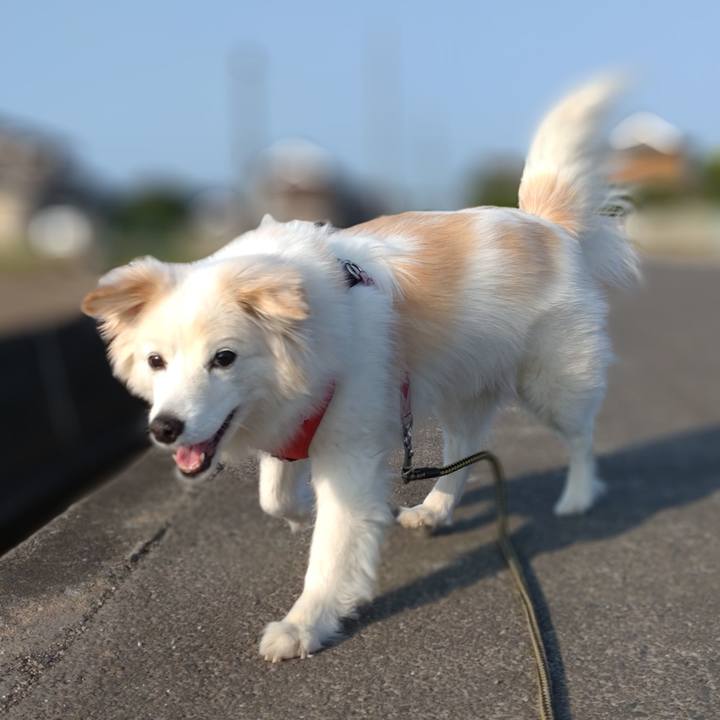 Ddcb1ad6 338f 4394 92f0 603de4286f1e 1651998761945