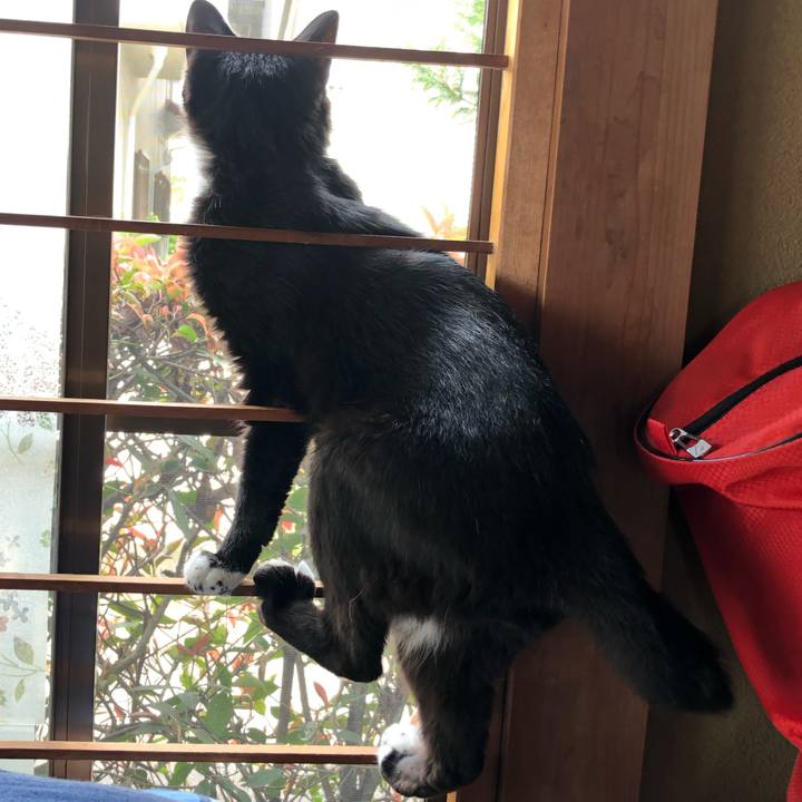 Ddcba931 45de 424e 8885 66e687c0bd86 1627443686160