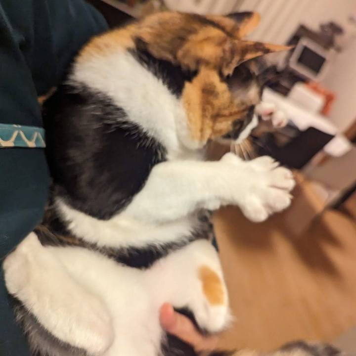 Ddcc2d58 ffea 4ef0 a550 8dda3f3972b7 1701588385201