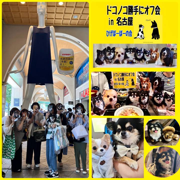 Ddccb01f 4e41 48dc b929 7f644884437c 1722194757736