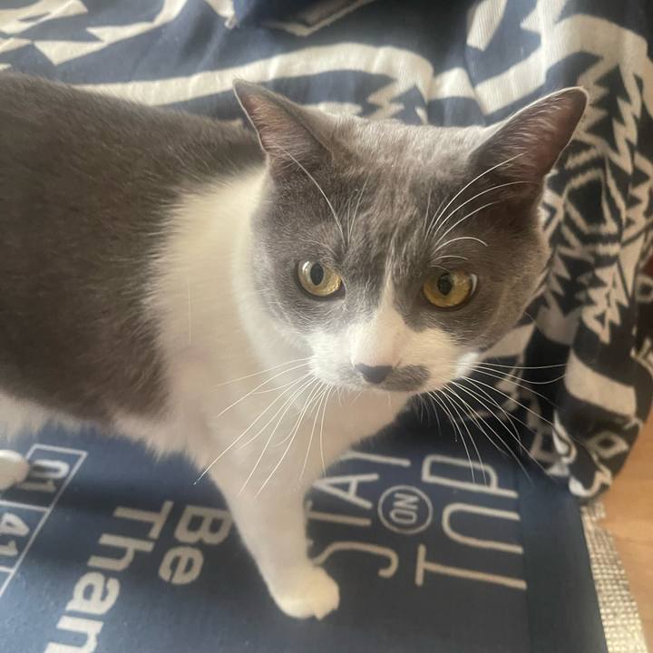 Ddccd96b 501e 46ef 8bd0 58acc868ffb5 1727150598885