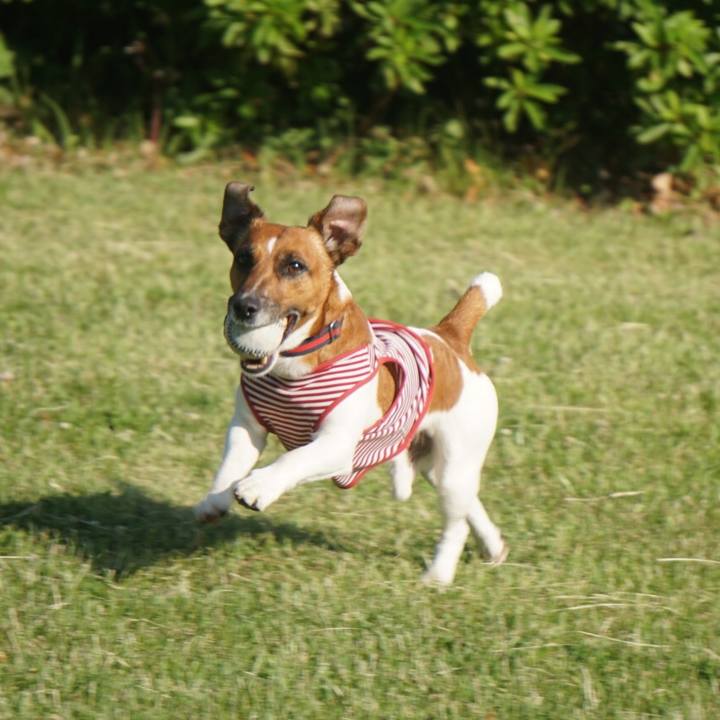 Ddcd3ab8 8468 4630 8e71 fdad64697429 1526943754491