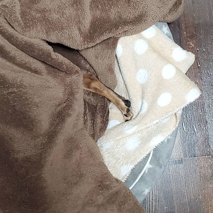 Ddcd4c2e fef4 4def bc48 7924986ffa45 1674565353634