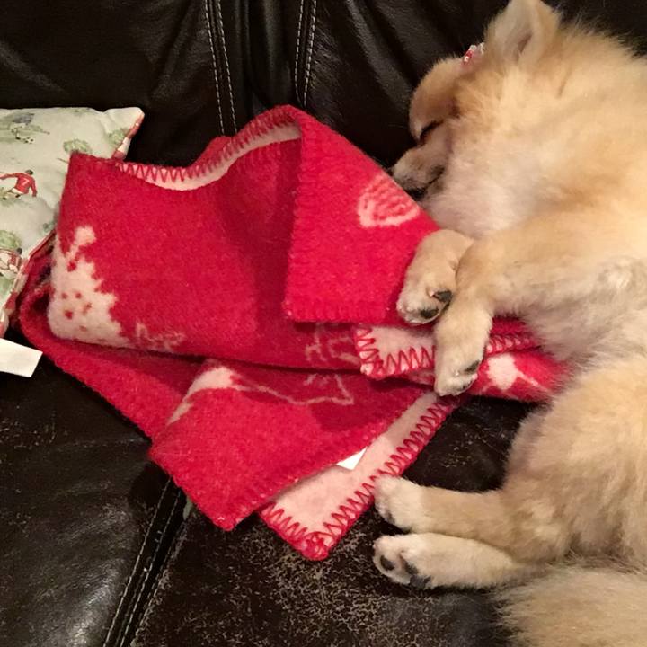 Ddcd6528 7713 4bb9 b455 971a24a7dfb4 1530273358200