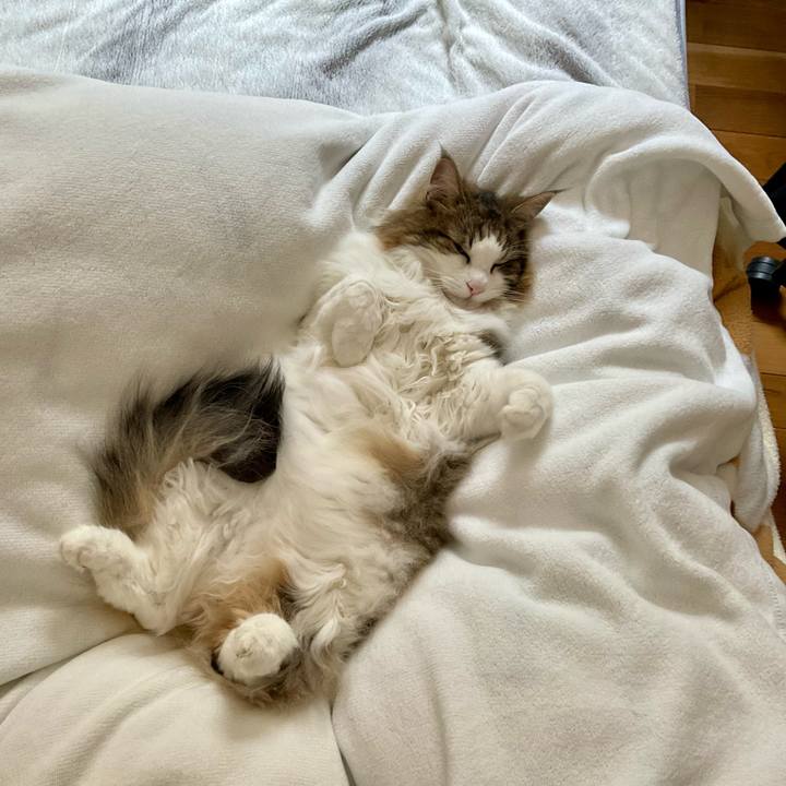 Ddcd7c81 04f4 40df 991b a2ce56345dc3 1715139965986