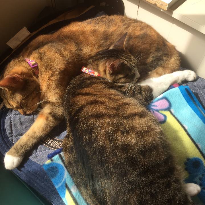 Ddcd8479 03fa 47cf b2ff dc372c6595a4 1569589626468