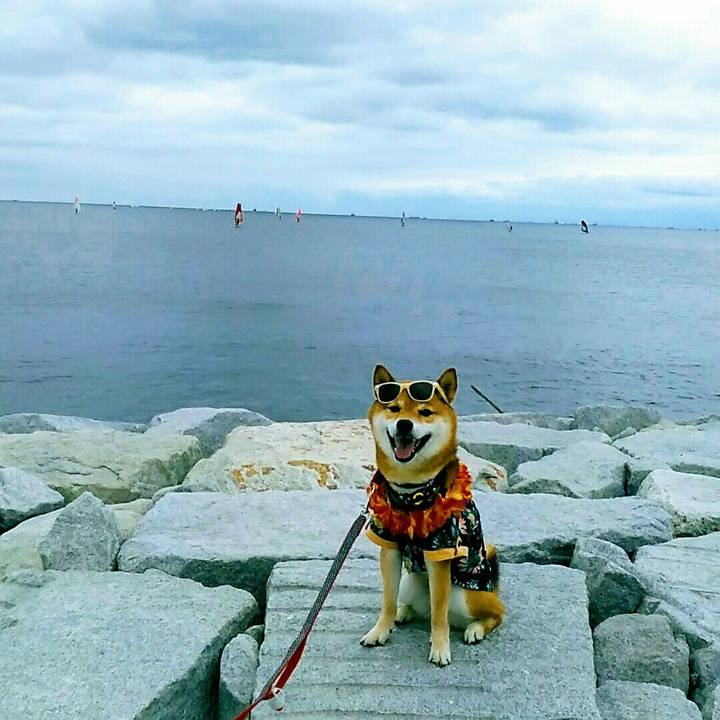 Ddcdc498 85f0 4fe4 9a08 e21d9d6e3c9d 1563196174013