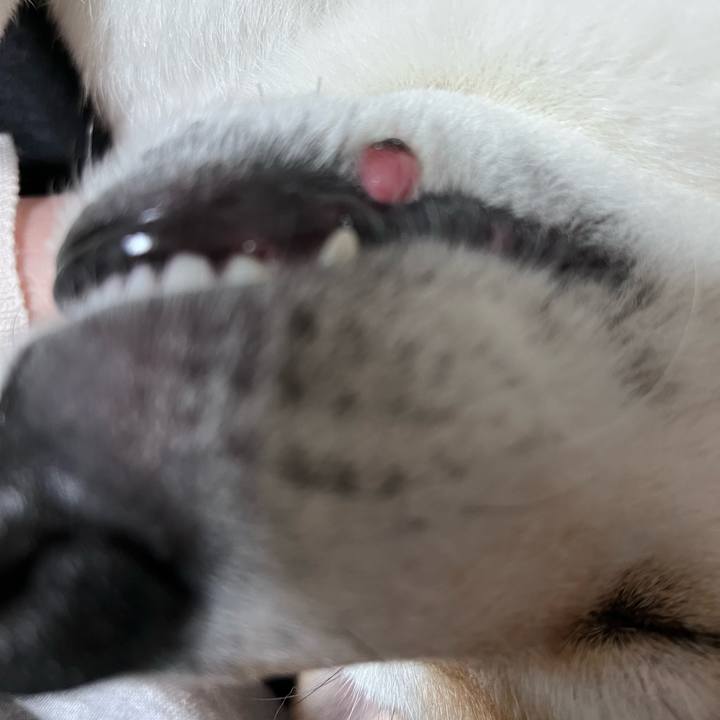 Ddcde643 672b 4f45 8075 56056bc055eb 1702302721738