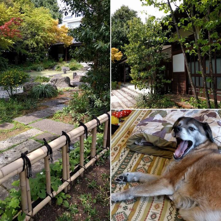 Ddcde819 5703 494e ac4d 29b19dd16a64 1555668347595