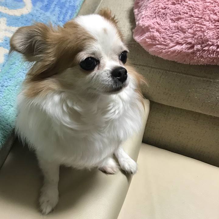 Ddce10dc cc88 4759 85be 5339af1d8420 1564874771963