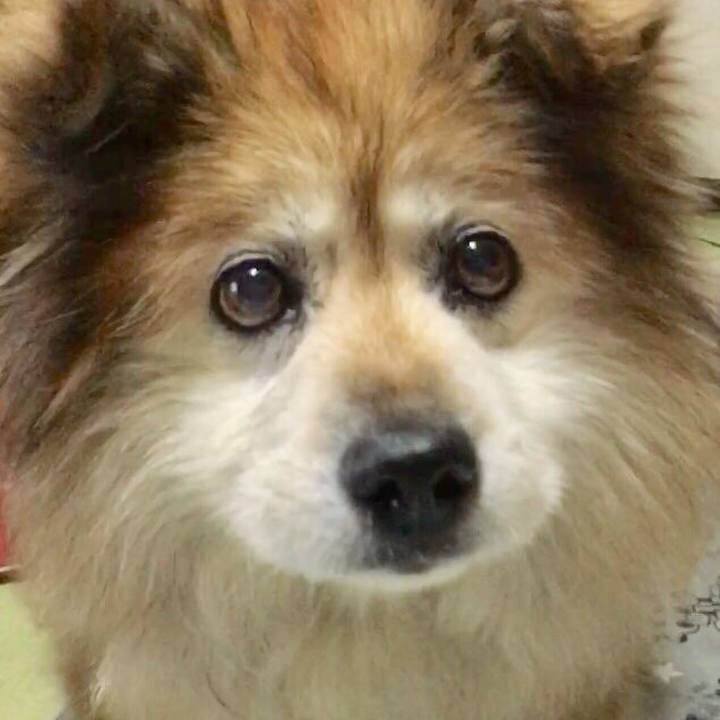 Ddce6ffb dd4e 4b9b a83c 0132087951f5 1625552819480