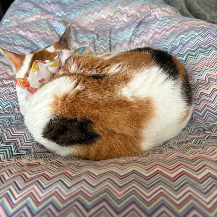 Ddce7042 c976 4e9d a550 f4dc3ad427da 1774050314759