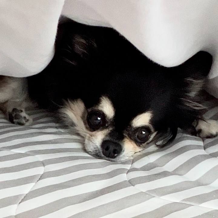 Ddcea319 15f2 4616 9b8f 8b7b518c331a 1725579112543