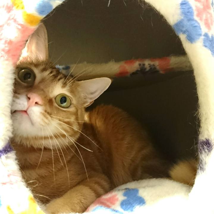 Ddcebc2f e223 4cfd 8aab 732aecb8b54e 1524398196874