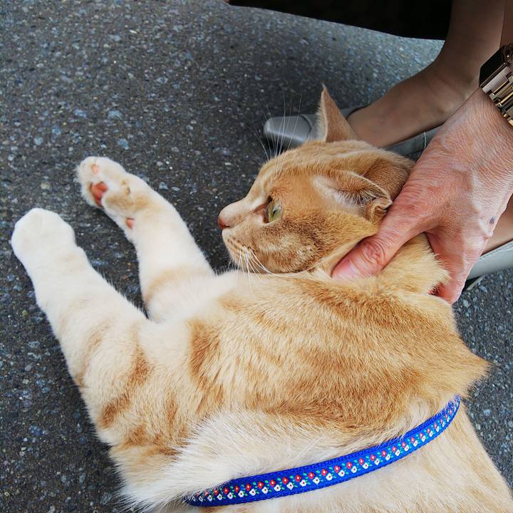 Ddced3e3 ba6c 42ba 87c8 cedf5372d2f5 1593224430429