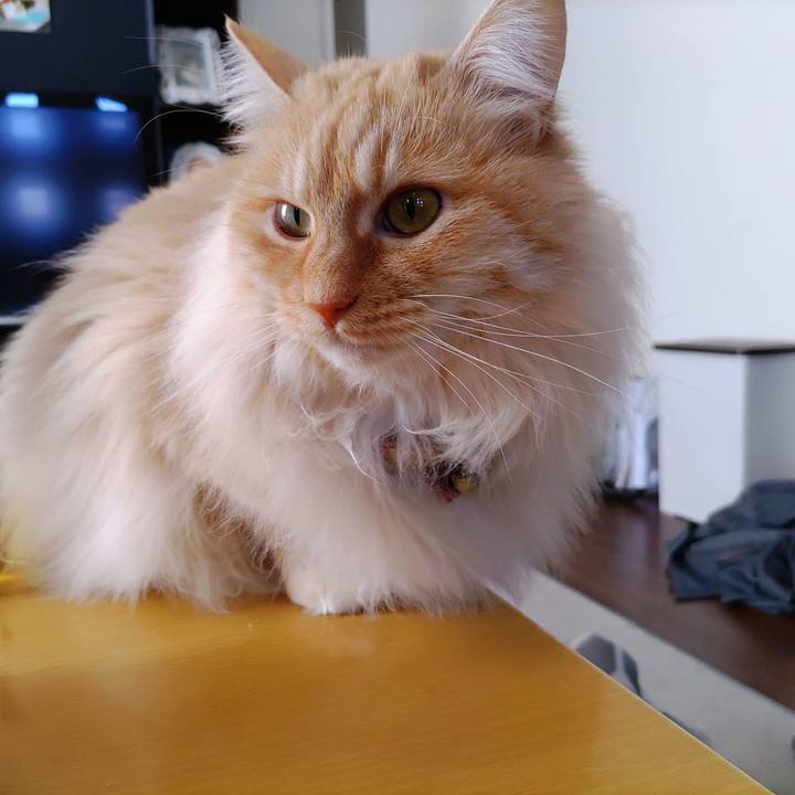 Ddceeb12 09d9 48df a9cb 0f501d899e8d 1710038629483