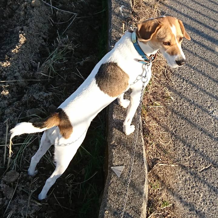 Ddcf1715 0878 4dc5 8716 d59967da8f9a 1575097271739