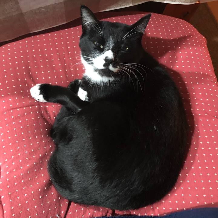 Ddcf228a ab65 414f 9f74 4713bd0c0299 1577451617614