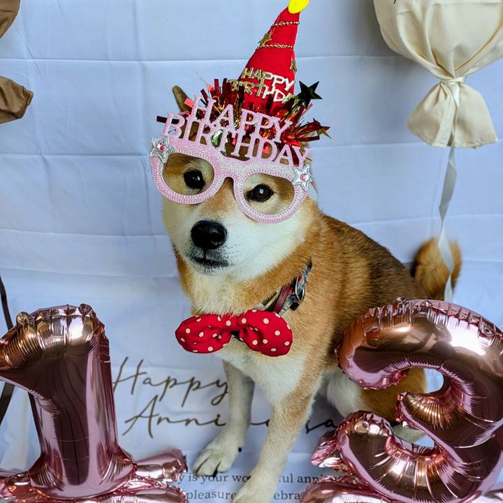 Ddcf4f3c b08f 4f00 a757 00b11482bf21 1765265817654