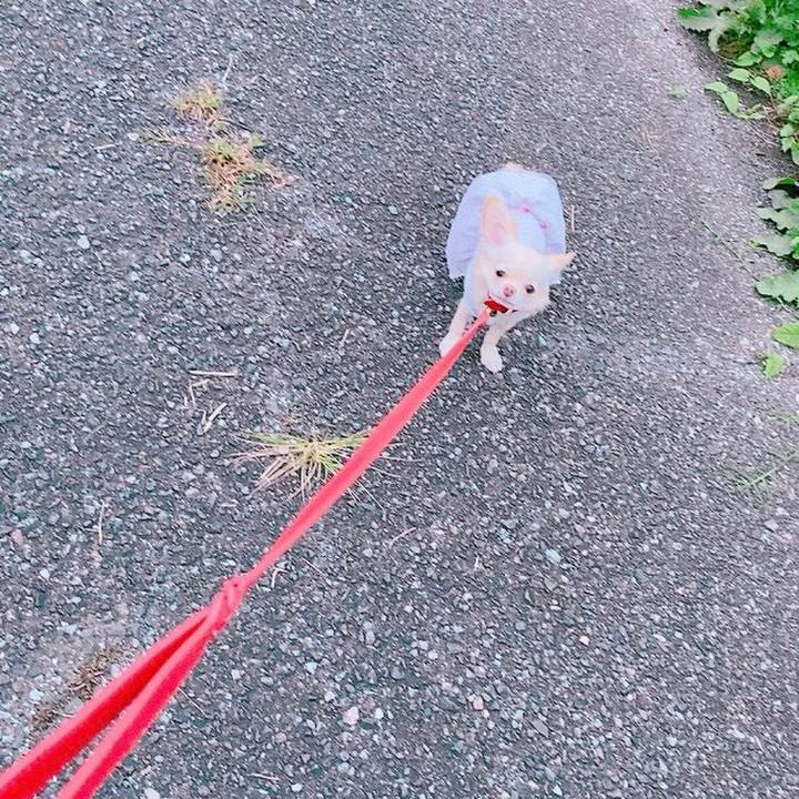 Ddcf5d96 6970 4920 b01f b53c07f4f9b2 1631452032354